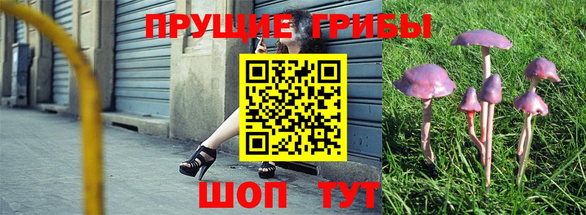 Калининград  Псилоцибиновые грибы ЛСД  Вход с VPN 